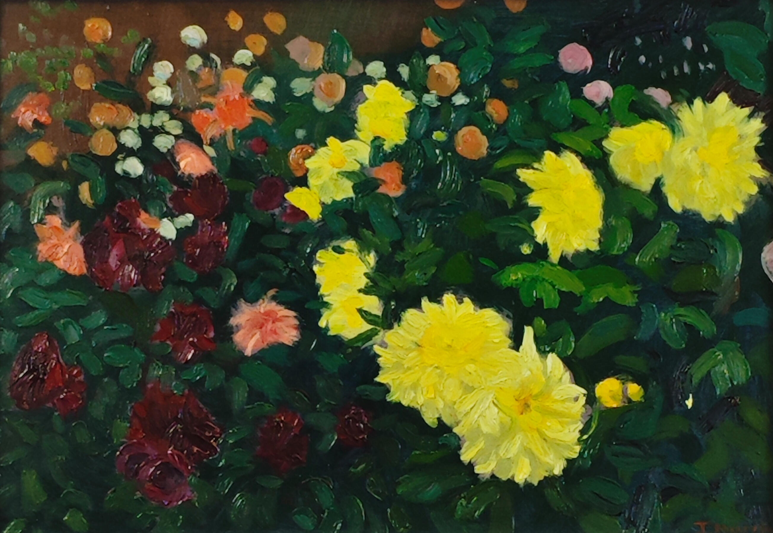 Oil painting of dahlias in the summer gardens at Torre Abbey, featuring yellow, pink, and deep red flowers set against rich green foliage.